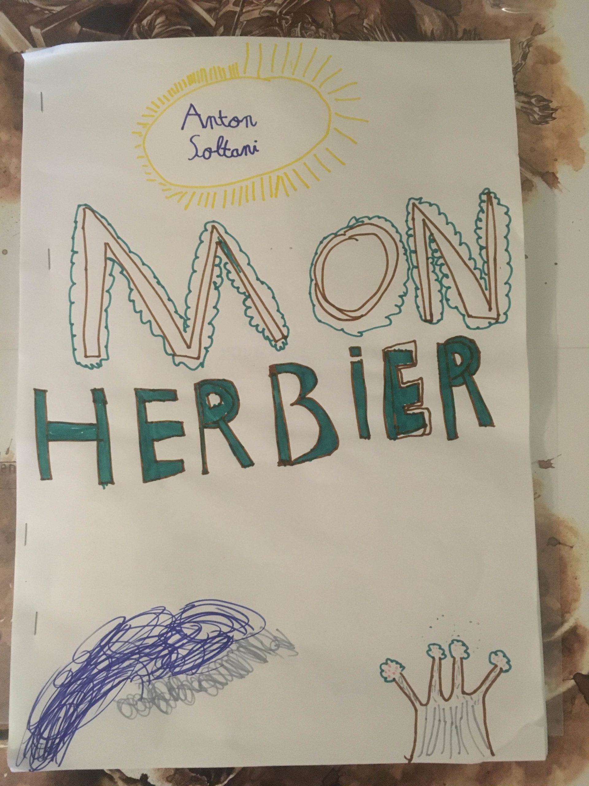 Mon herbier